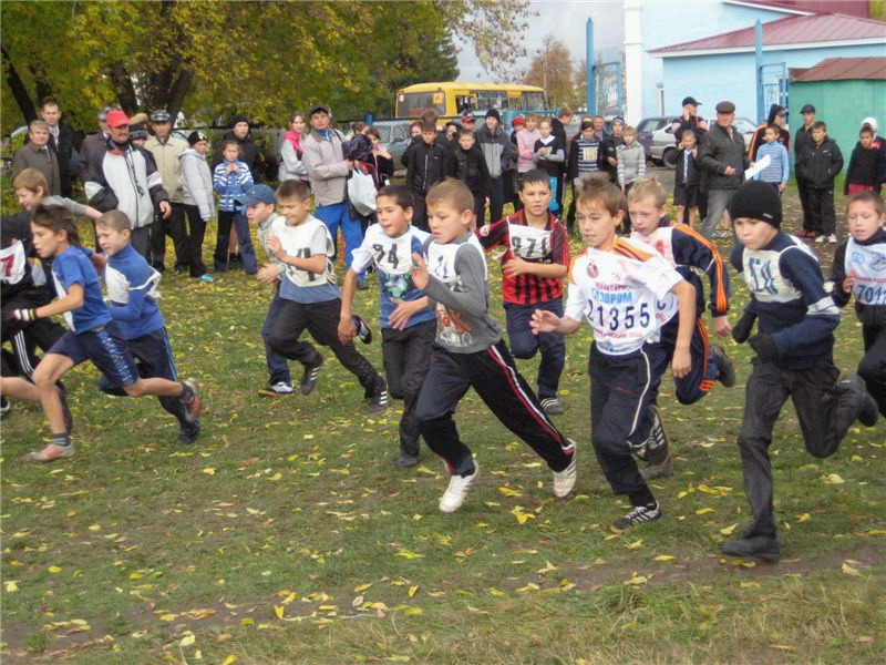 Легкоатлетический кросс памяти Н. И. Пуклакова.